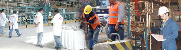 cabecera